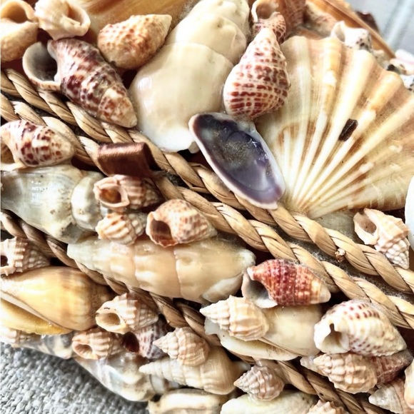 Handmade Seashell with Box - Picture 3 of 5